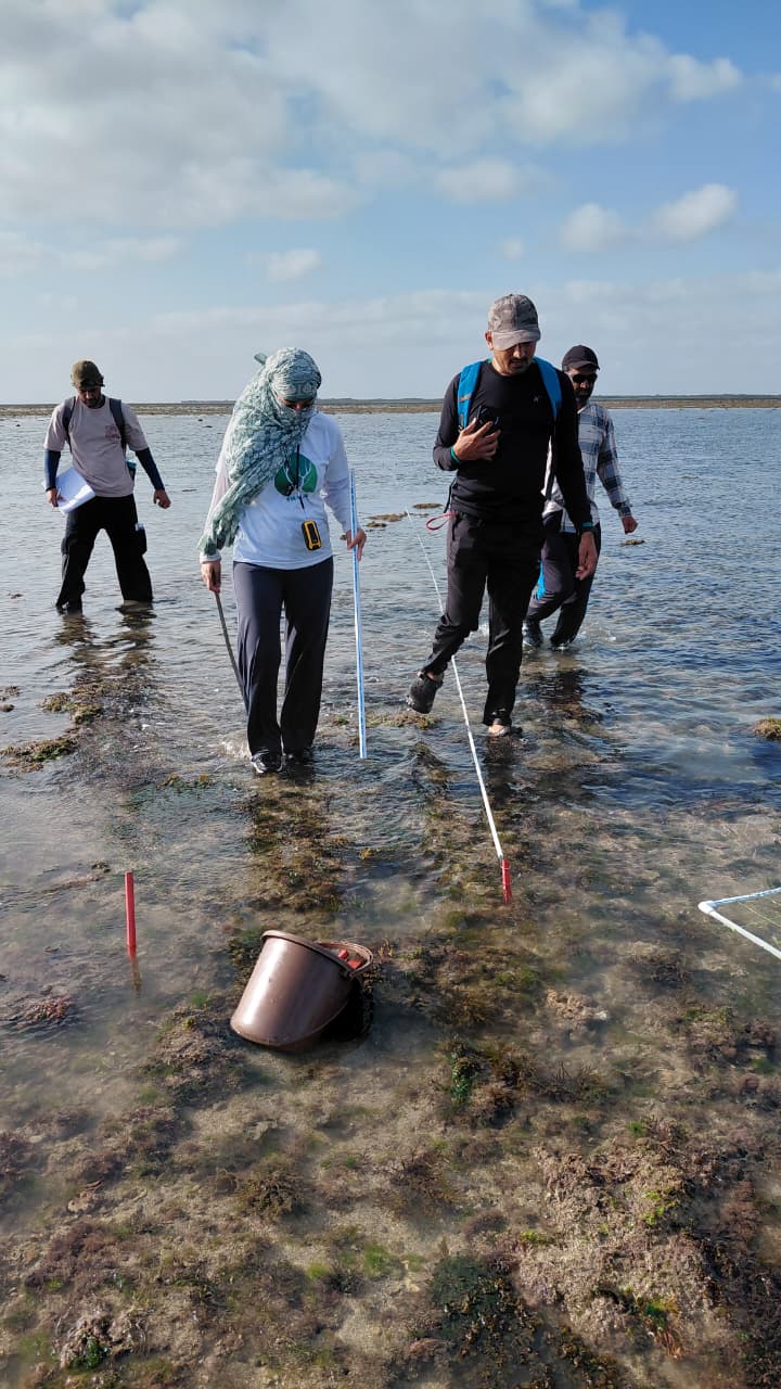 GFRF - Coral Health & Resilience at MNP 3